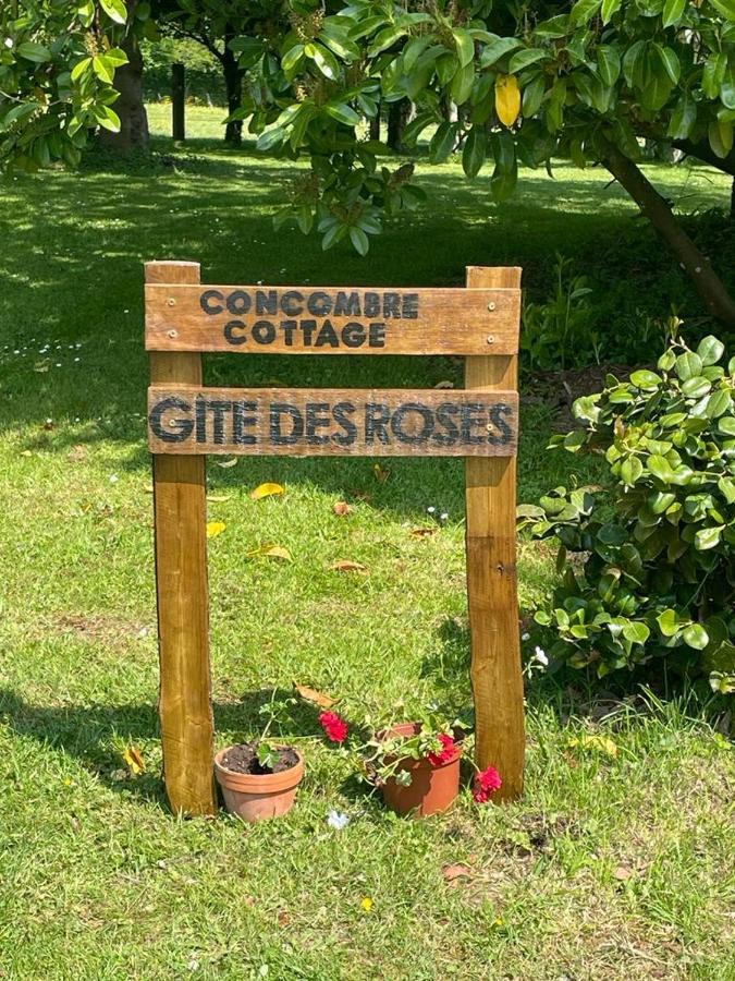 Gite Des Roses Le Grais Exterior photo